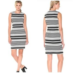 NWT Calvin Klein Striped Sleeveless Sheath Dress 10 White and Black